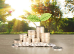 牛策略配资炒股平台客户服务质量大揭秘：专业、贴心还是靠谱？